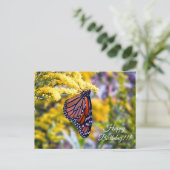 ハッピーバースデー(昆虫)オオカバマダラ、モナークバタフライポストカード ポストカード (スタンド正面)