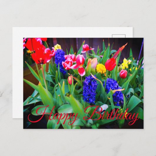 ハッピーバースデー 春の花 #3 ポストカード (正面/裏面)