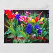 ハッピーバースデー 春の花 #3 ポストカード (正面)