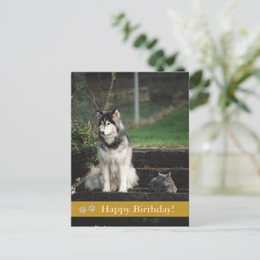 ハッピーバースデー! – 犬と猫のはがき ポストカード (スタンド正面)