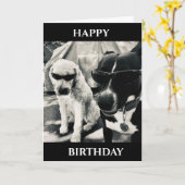 **「ハッピーバースデー***犬の叔父のカークールド カード (黄色い花)