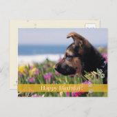 ハッピーバースデー! – 犬の葉書 ポストカード (正面/裏面)