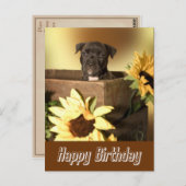 ハッピーバースデー(犬)スタッフォードテリアドッグポストカード ポストカード (正面/裏面)