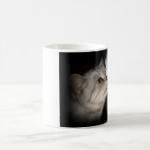 ハッピーバースデー-猫のマグ コーヒーマグカップ (中央)