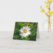 ハッピーバースデー、空白のデイジー カード (黄色い花)
