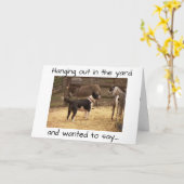 ハッピーバースデー:納屋周囲の庭動物 カード (黄色い花)