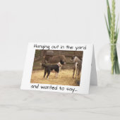 ハッピーバースデー:納屋周囲の庭動物 カード (正面)
