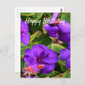 ハッピーバースデー：紫色のTibouchinaの花 ポストカード (正面/裏面)