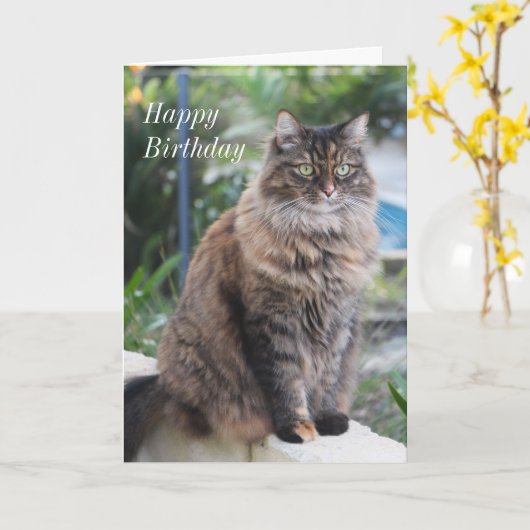 ハッピーバースデー。美しい猫の写真。 カード (黄色い花)