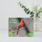 ハッピーバースデー（鳥）ショウジョウコウカンチョウはがき ポストカード (スタンド正面)