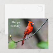 ハッピーバースデー（鳥）ショウジョウコウカンチョウはがき ポストカード (正面/裏面)