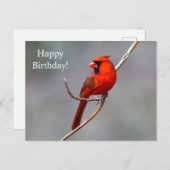 ハッピーバースデー(鳥)ショウジョウコウカンチョウはがき ポストカード (正面/裏面)