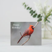 ハッピーバースデー（鳥）ショウジョウコウカンチョウはがき ポストカード (スタンド正面)