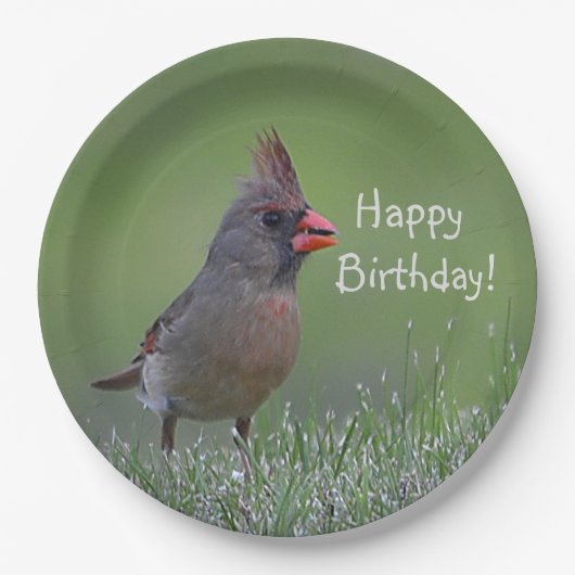 ハッピーバースデー（鳥）ショウジョウコウカンチョウ ペーパープレート (正面)