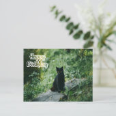 ハッピーバースデー 黒猫 アウトドア ポストカード (スタンド正面)
