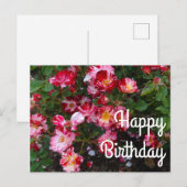 ハッピーバースデー 4th of July ローズ #1 ポストカード (正面/裏面)