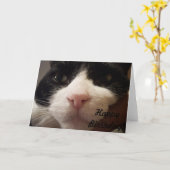 ハッピーバースデー(Card with Cat) カード (黄色い花)