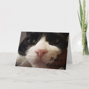 ハッピーバースデー(Card with Cat) カード