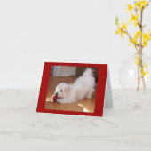 ハッピーバースデー- Havaneseの子犬 カード (黄色い花)