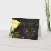 ハッピーバースデー- Venezia猫の挨拶状 カード (裏面)