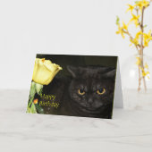 ハッピーバースデー- Venezia猫の挨拶状 カード (黄色い花)