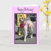 ハッピーバースデーAmerican Bulldogグリーティングカード カード (黄色い花)