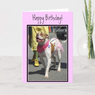 ハッピーバースデーAmerican Bulldogグリーティングカード カード