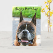 ハッピーバースデーBoxerグリーティングカード カード (黄色い花)
