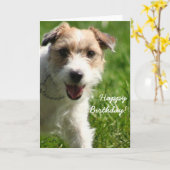 ハッピーバースデーJack Russell Terierグリーティングカード カード (黄色い花)