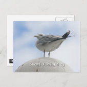 ハッピーバード ポストカード (正面/裏面)