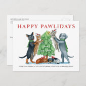 ハッピーパウリデイズ獣医 シーズンポストカード (正面/裏面)