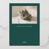 ハッピーパウリデイズ ファンスターズ 猫写真 箔シーズンカード (裏面)