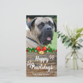 ハッピーパウリデイズ | ペット写真クリスマス シーズンカード (スタンド正面)