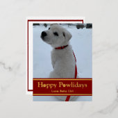 ハッピーパウリデイズ 箔シーズンポストカード (正面/裏面)