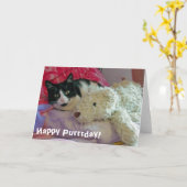 ハッピーパーラデイ猫カード カード (黄色い花)