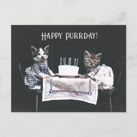 ハッピーパurrデー かわいい猫 ヴィンテージ 誕生日 ポストカード (正面)