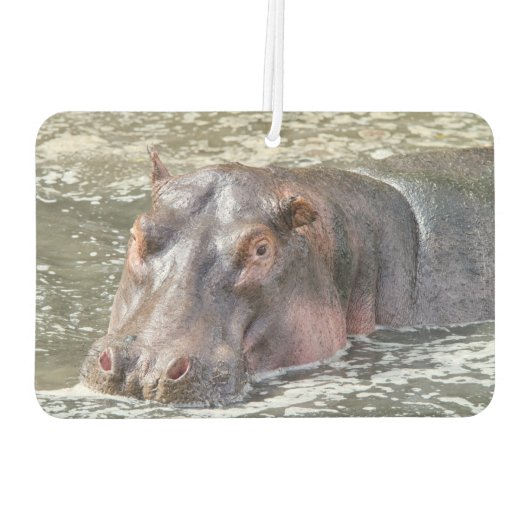 ハッピーヒッポ カーエアーフレッシュナー (裏面)