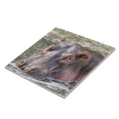 ハッピーヒッポ タイル (側面)