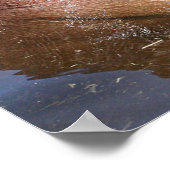 ハッピーヒッポ ポスター (角)