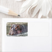 ハッピーヒッポ ラベル (インサイチュ)