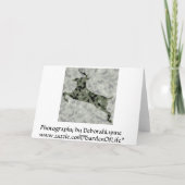 ハッピーファーザーズデイ迷彩柄ディアー カード (裏面)