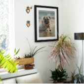 ハッピープグアットザビーチ ポスター