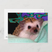 ハッピーヘッジホッグ ポストカード (正面/裏面)