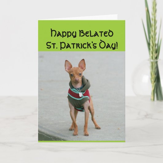ハッピーベレートセントパトリックデイチワワカード カード (正面)