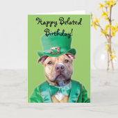 ハッピーベレート誕生日アイリッシュピットブルカード カード (黄色い花)
