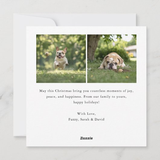 ハッピーペイリデイズドッグアーチフォトクリスマスペット シーズンカード (裏面)