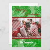 ハッピーホリデイズフォトカードグリーンレッドスノー シーズンカード (正面/裏面)