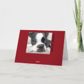 ハッピーホリデイズローラB.ボストンリース シーズンカード (裏面)