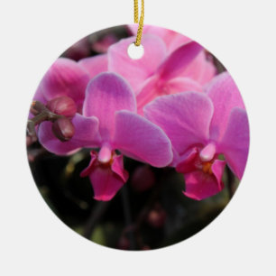 ハッピーホリデーかわいらしピンクの蘭の花 セラミックオーナメント