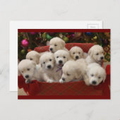 ハッピーホリデーゴールデンレトリエバーパピーズ シーズンポストカード (正面/裏面)